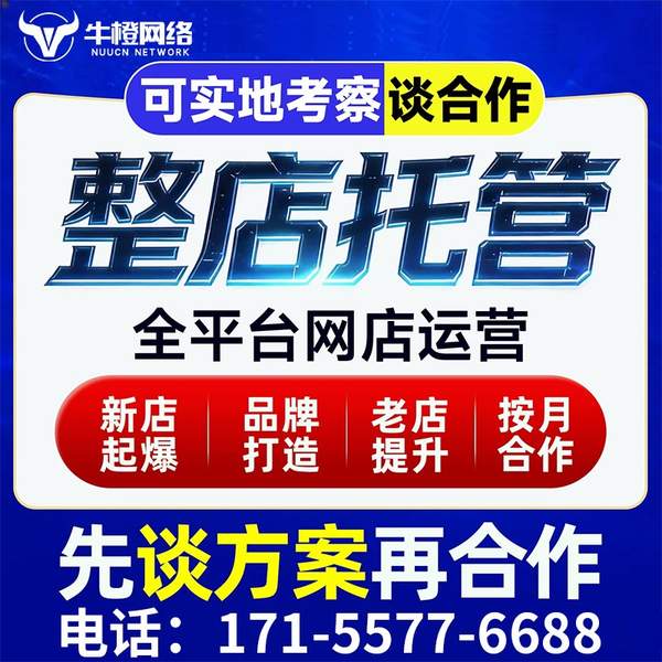 江门电商代运营