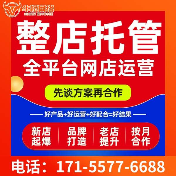 江门电商代运营